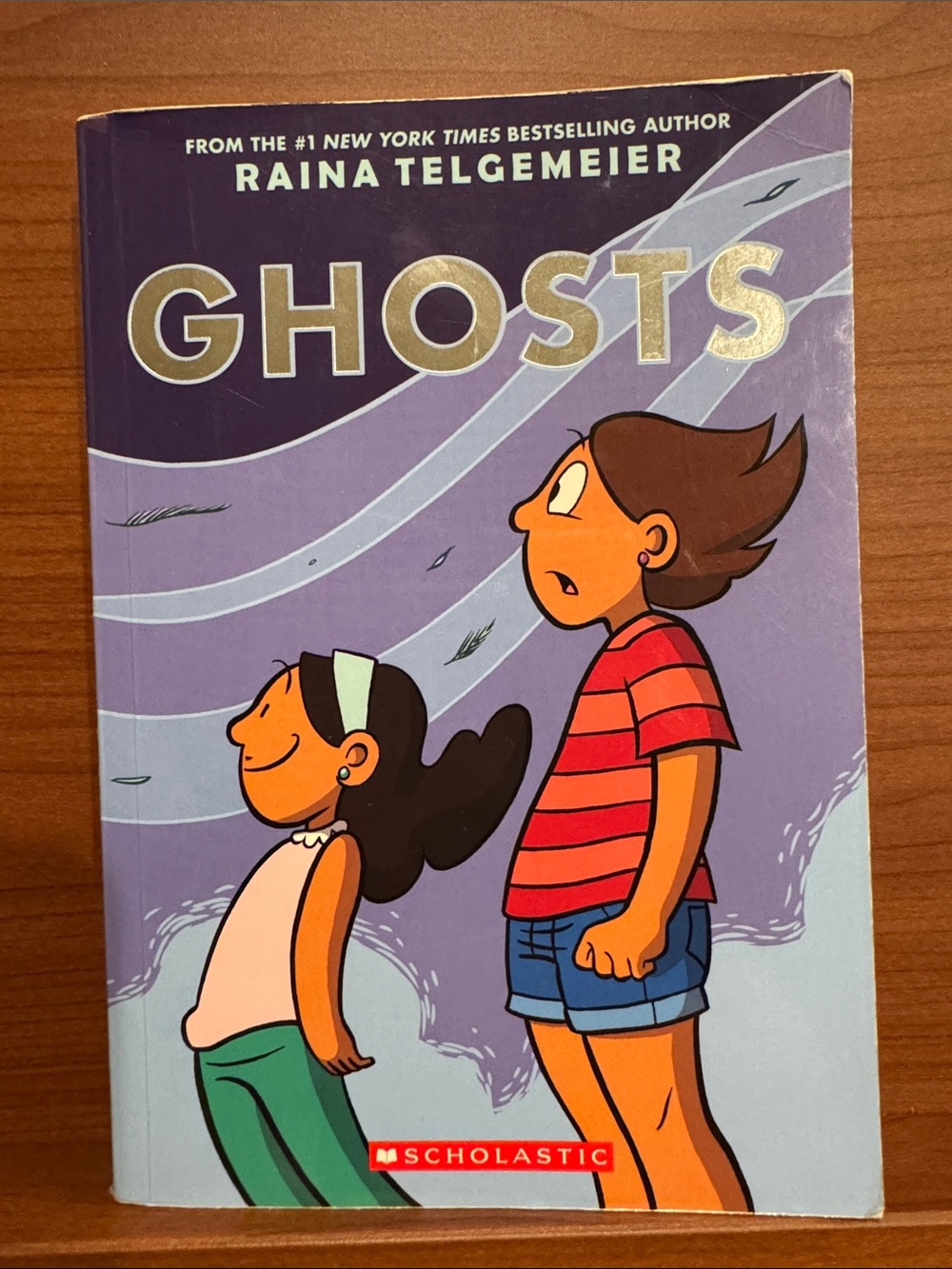 Scholastic Ghosts Graphic Novel – Purple Cover with Red and Green Accents